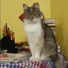 Отзыв от Анастасия Комарова